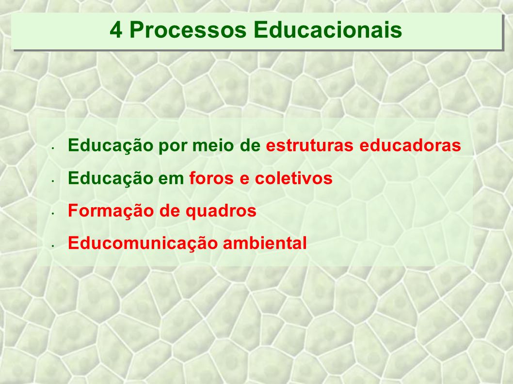 4 Processos Educacionais Educação por meio de estruturas educadoras Educação em foros e coletivos Formação de quadros Educomunicação ambiental