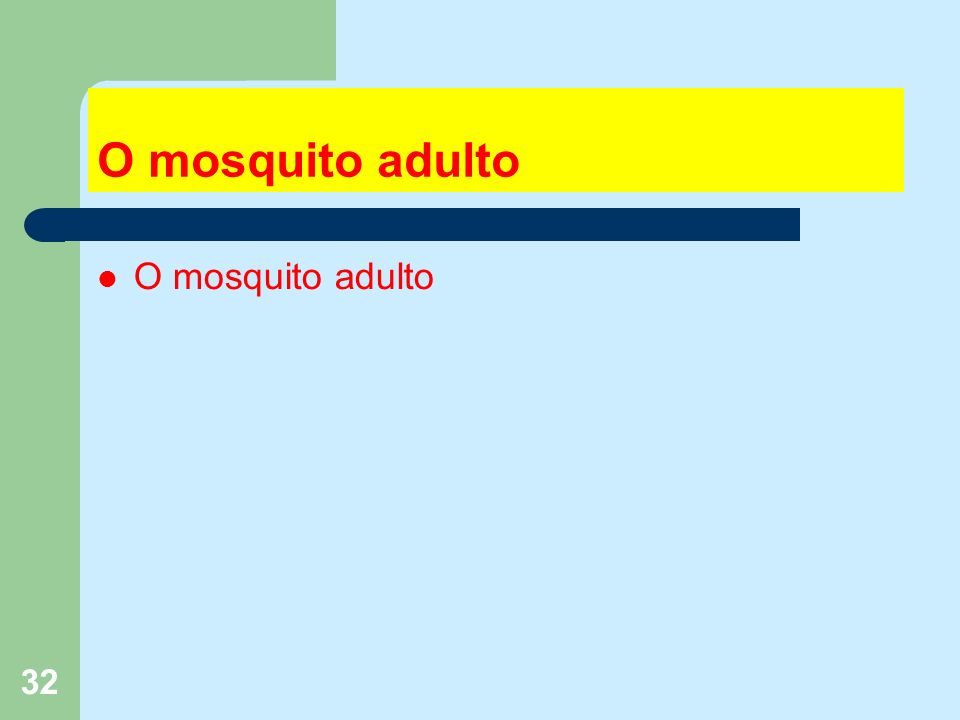 32 O mosquito adulto