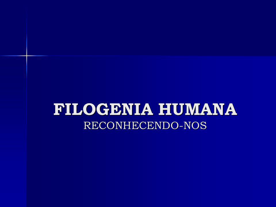 FILOGENIA HUMANA RECONHECENDO-NOS