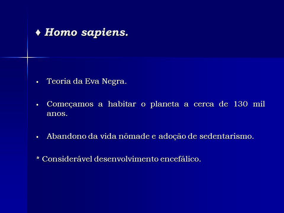 Homo sapiens. Homo sapiens. Teoria da Eva Negra.