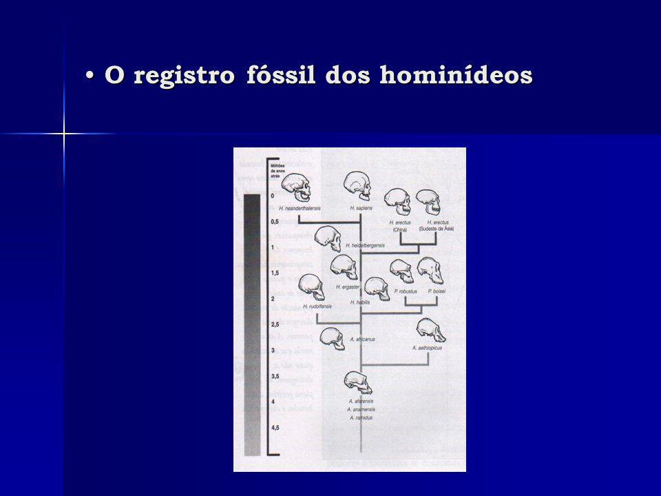 O registro fóssil dos hominídeos O registro fóssil dos hominídeos