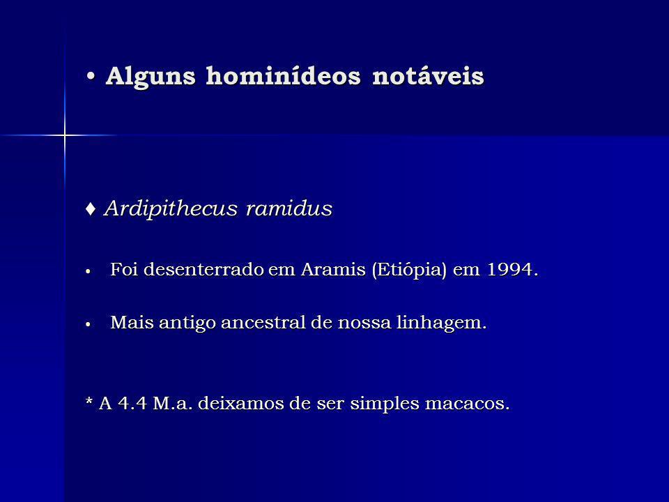 Alguns hominídeos notáveis Alguns hominídeos notáveis Ardipithecus ramidus Ardipithecus ramidus Foi desenterrado em Aramis (Etiópia) em 1994.