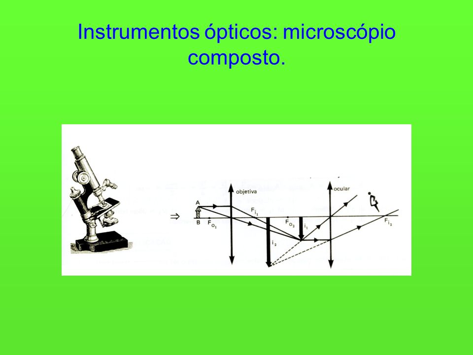 Instrumentos ópticos: microscópio composto.