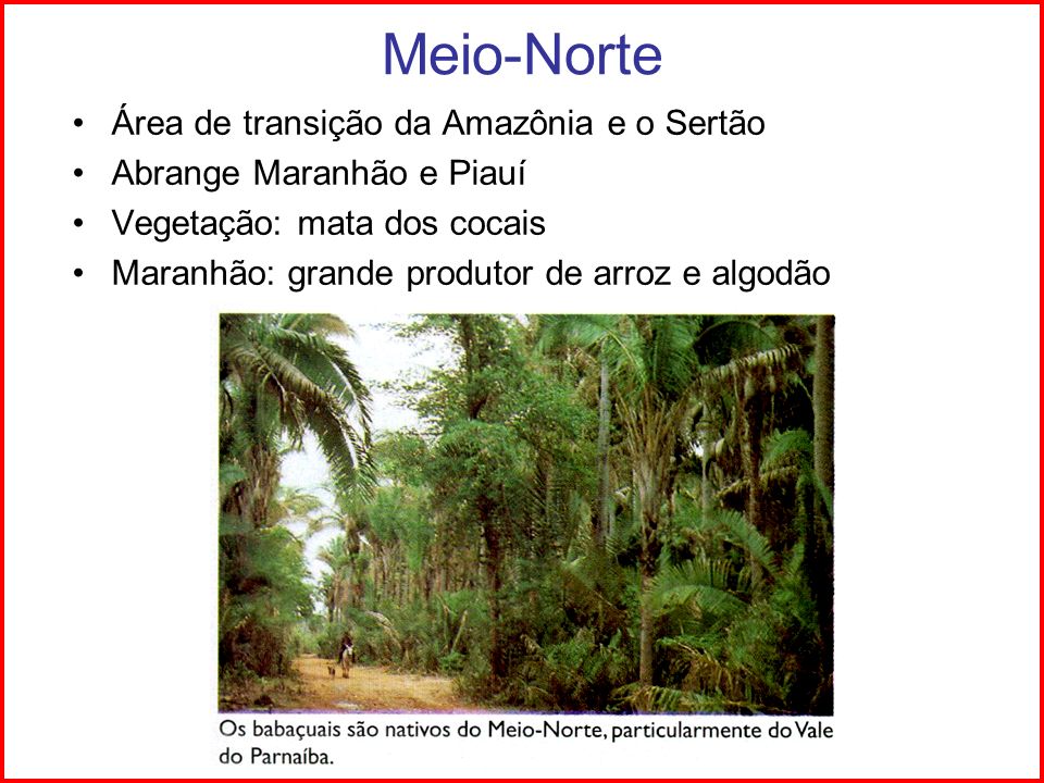 Resultado de imagem para nordeste meio norte