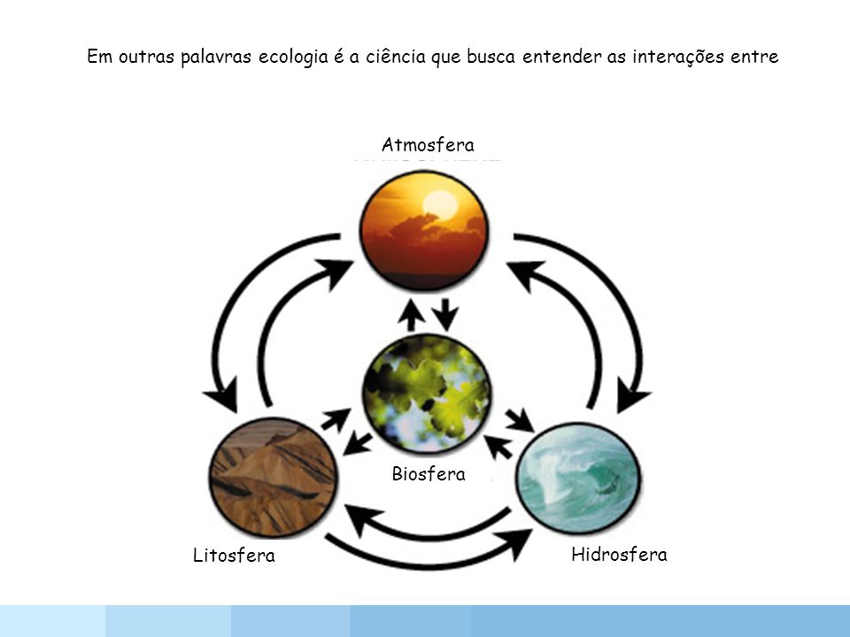 LITOSFERA ATMOSFERA litosfera atmosfera: