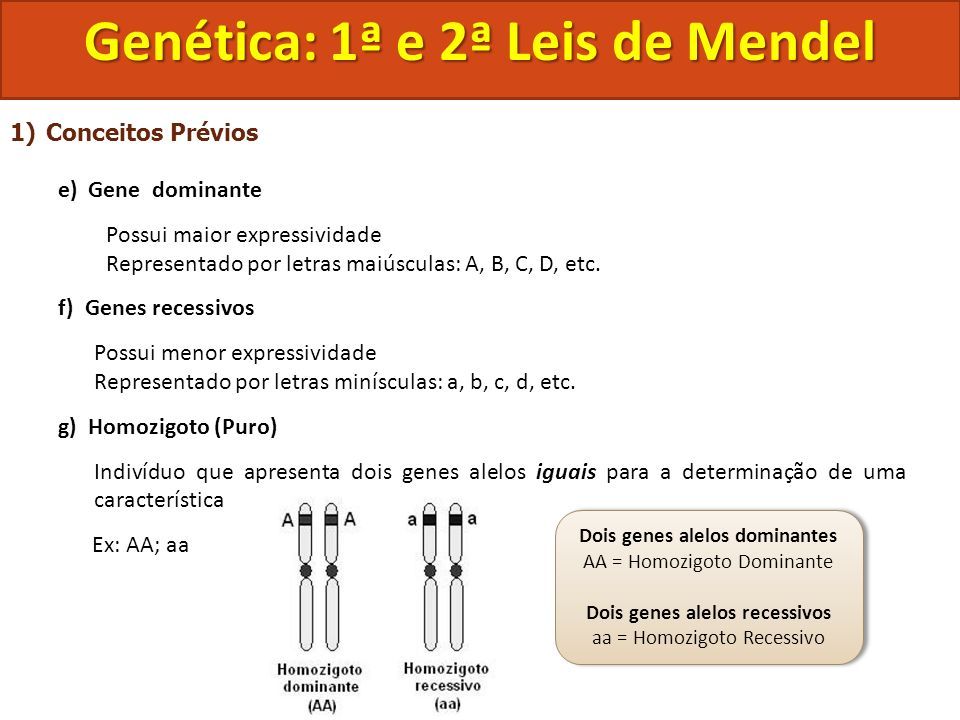 Biologia Tema Gen Tica E Lei De Mendel Gen Tica E Leis