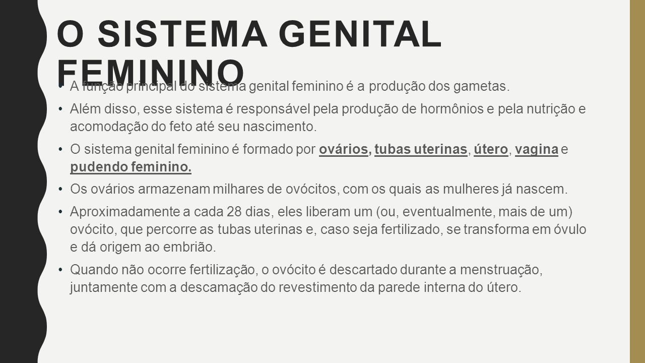 SISTEMA GENITAL CIÊNCIAS GEOVANNA MATOS O SISTEMA GENITAL MASCULINO