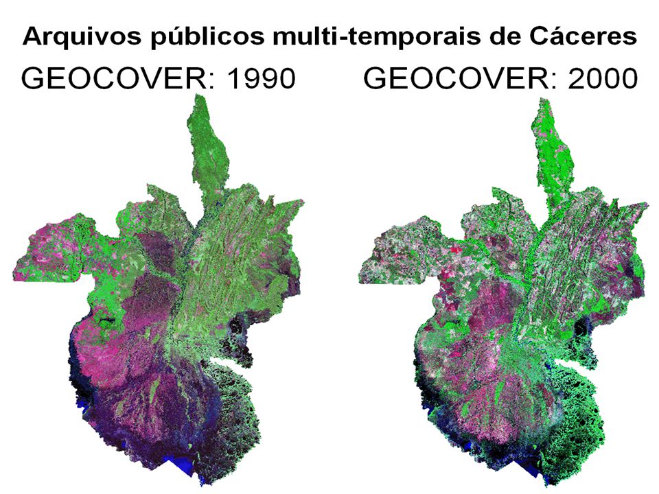 Mapeando Altera Es Da Cobertura Vegetal Pelo M Todo Panamaz Nia Caso