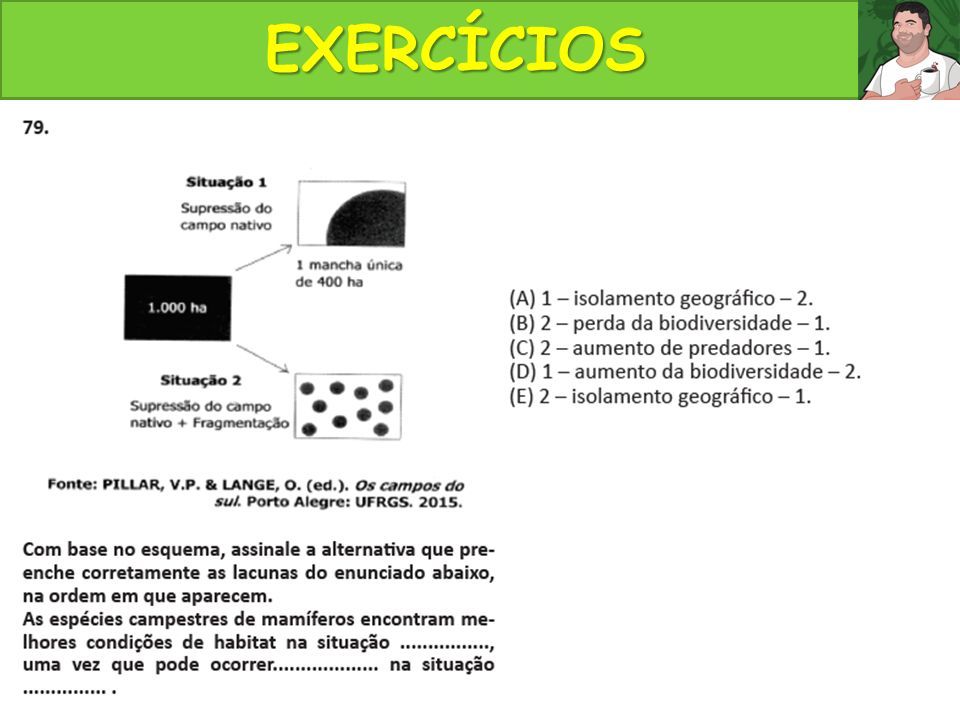 Aula De Corre O De Exerc Cios Revis O Enem Ppt Carregar