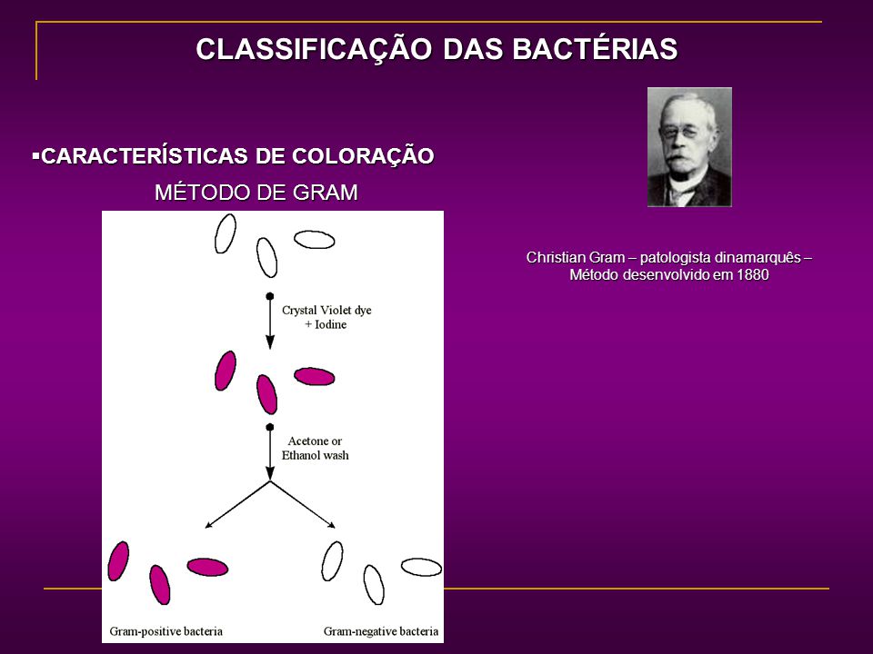 CARACTERISTICAS DE BACTERIAS GRAM caracteristicas de bacterias gram: