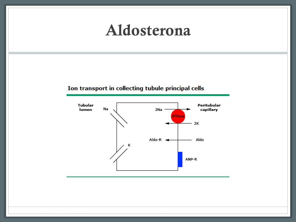 HIPOMAGNESEMIA CASO CLINICO hipomagnesemia caso clinico:
