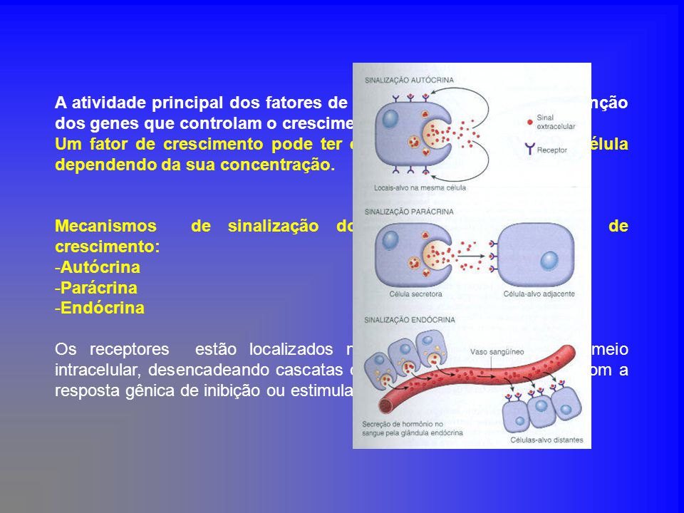 GENES PLEIOTROPICOS genes pleiotropicos:
