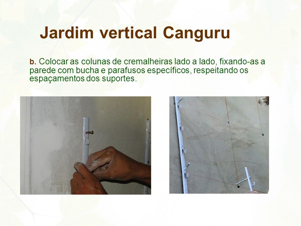 jardim vertical canguru: , respeitando os espaçamentos dos suportes. Jardim vertical Canguru jardim vertical canguru: , respeitando os espaçamentos dos suportes. Jardim vertical Canguru