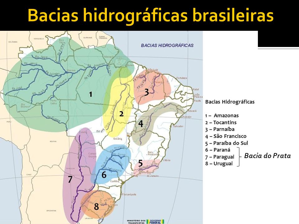 Resultado de imagem para três maiores bacias hidrográficas da América do Sul