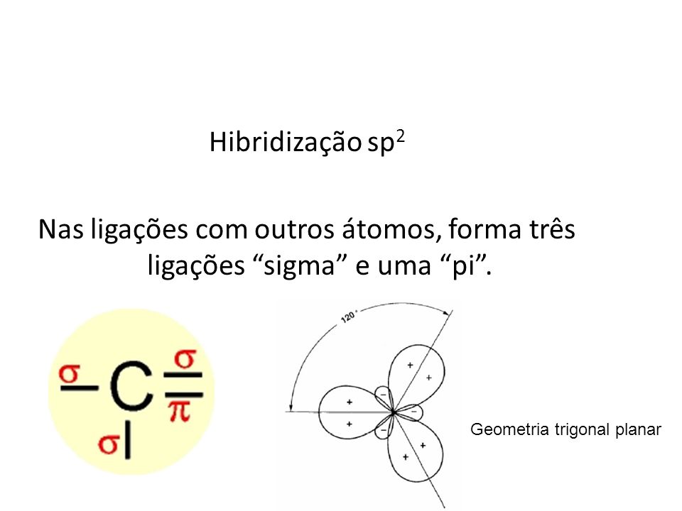 Imagem relacionada