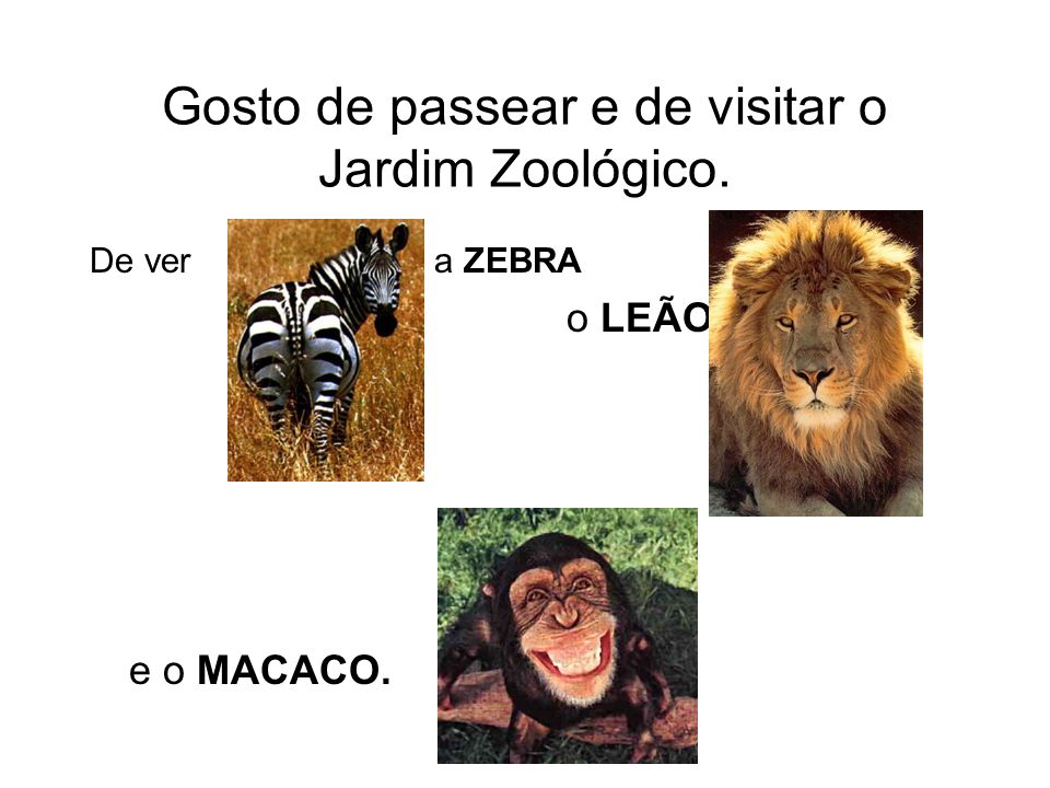 Gosto de passear e de visitar o Jardim Zoológico. De ver a ZEBRA o LEÃO e o MACACO.