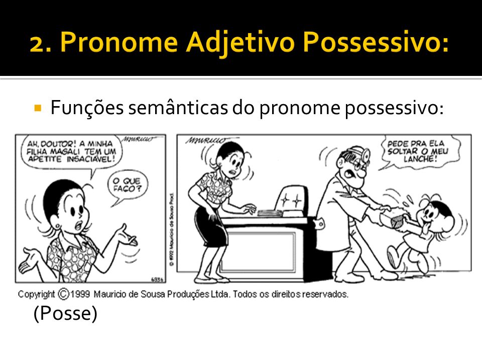  Funções semânticas do pronome possessivo: (Posse)
