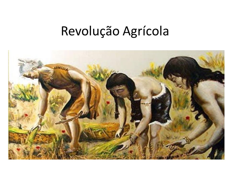 Revolução Agrícola