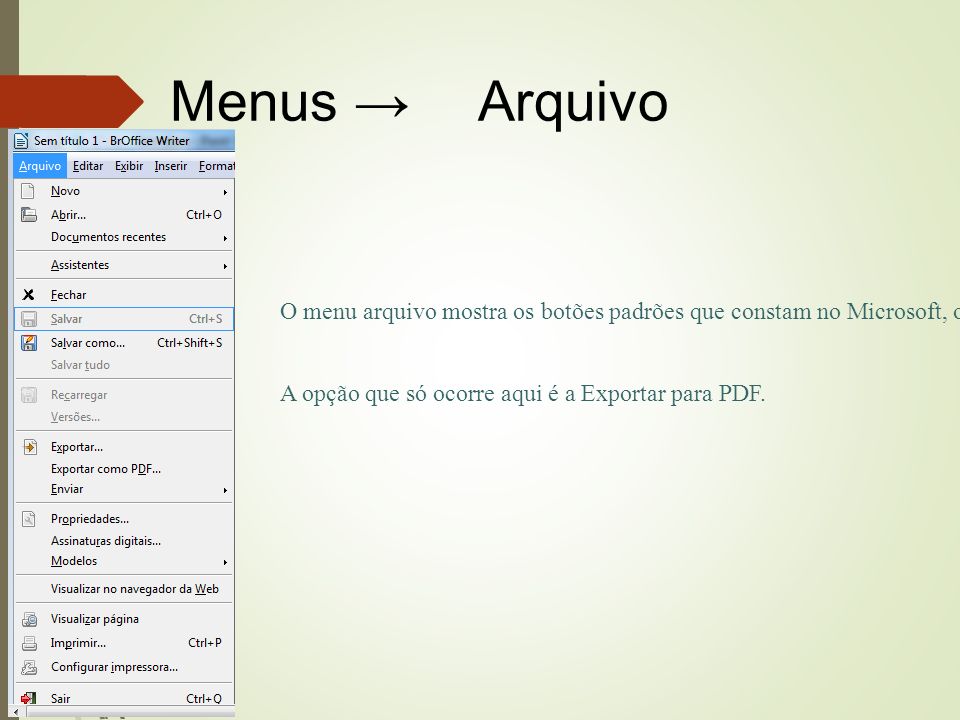 Menus →  Arquivo O menu arquivo mostra os botões padrões que constam no Microsoft, o que torna muito fácil a utilização deste programa.