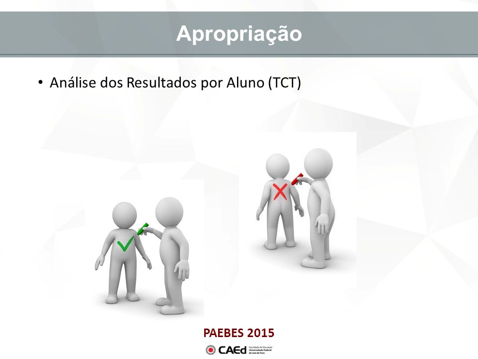 PAEBES 2015 Apropriação Análise dos Resultados por Aluno (TCT)