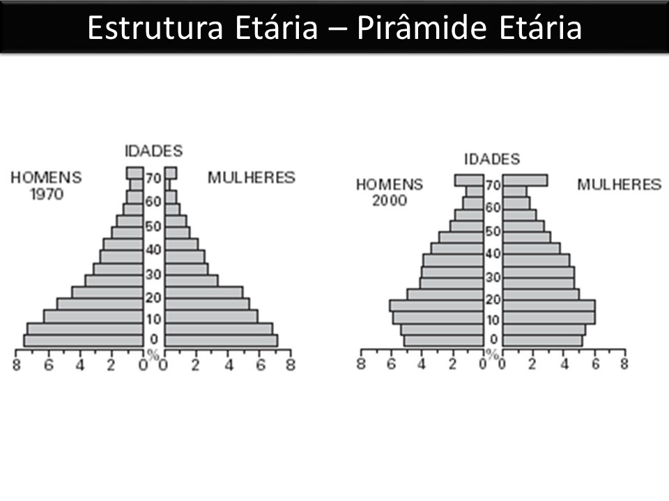 Estrutura Etária – Pirâmide Etária