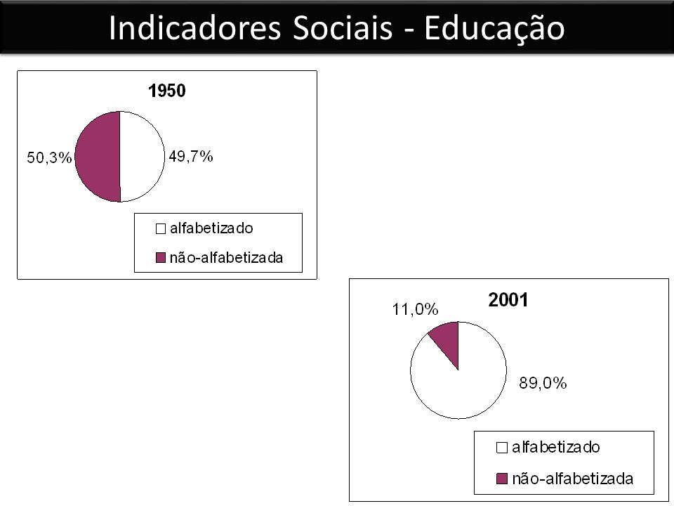Indicadores Sociais - Educação
