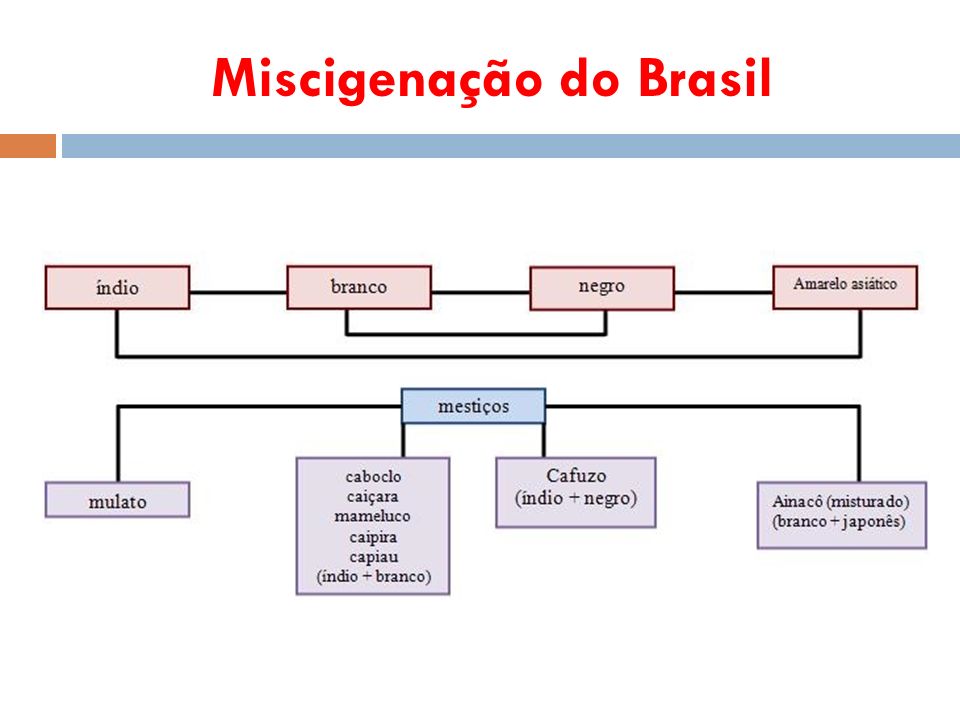 Miscigenação do Brasil