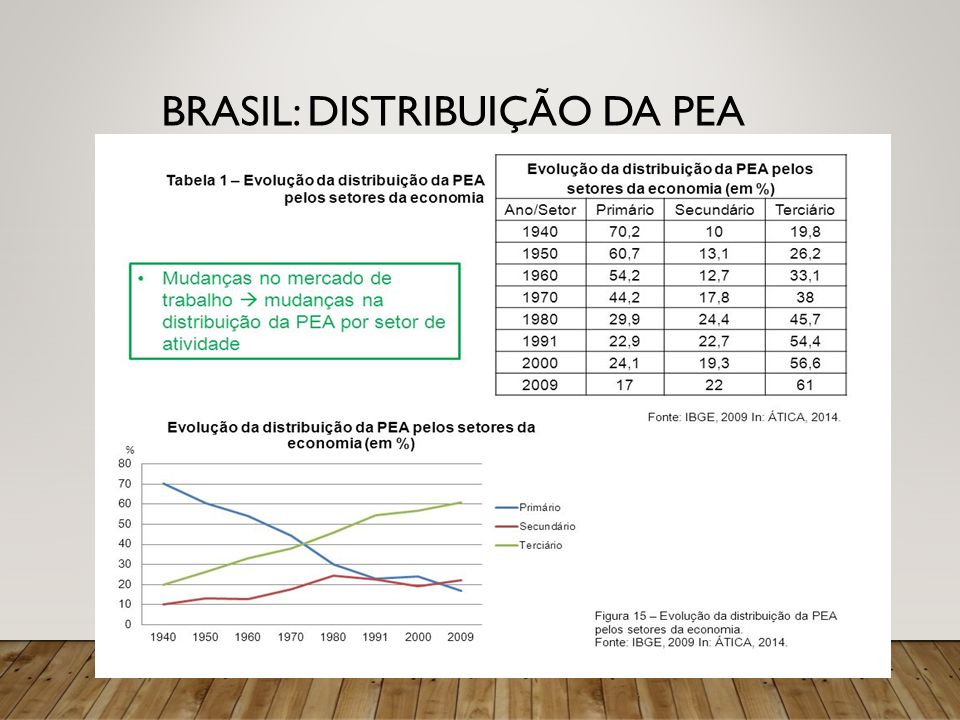 BRASIL: DISTRIBUIÇÃO DA PEA