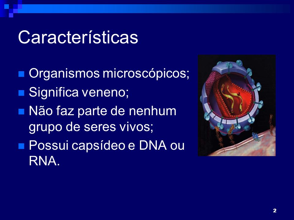 2 Características Organismos microscópicos; Significa veneno; Não faz parte de nenhum grupo de seres vivos; Possui capsídeo e DNA ou RNA.