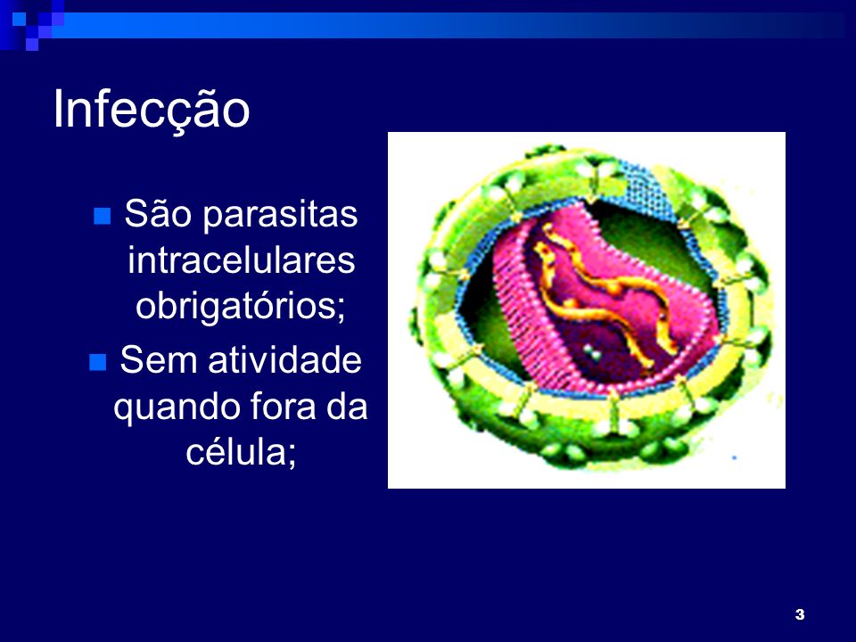 3 Infecção São parasitas intracelulares obrigatórios; Sem atividade quando fora da célula;