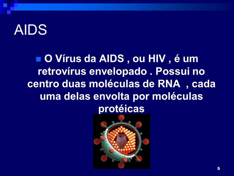 5 AIDS O Vírus da AIDS, ou HIV, é um retrovírus envelopado.
