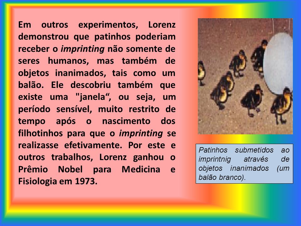 Em outros experimentos, Lorenz demonstrou que patinhos poderiam receber o imprinting não somente de seres humanos, mas também de objetos inanimados, tais como um balão.