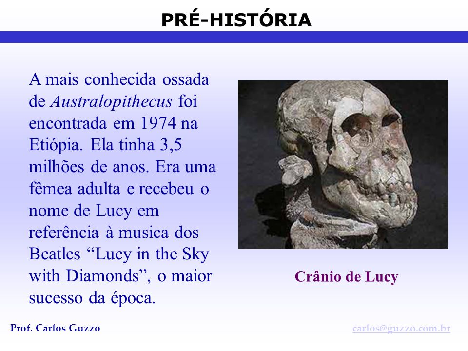 Resultado de imagem para Crânio de Luci