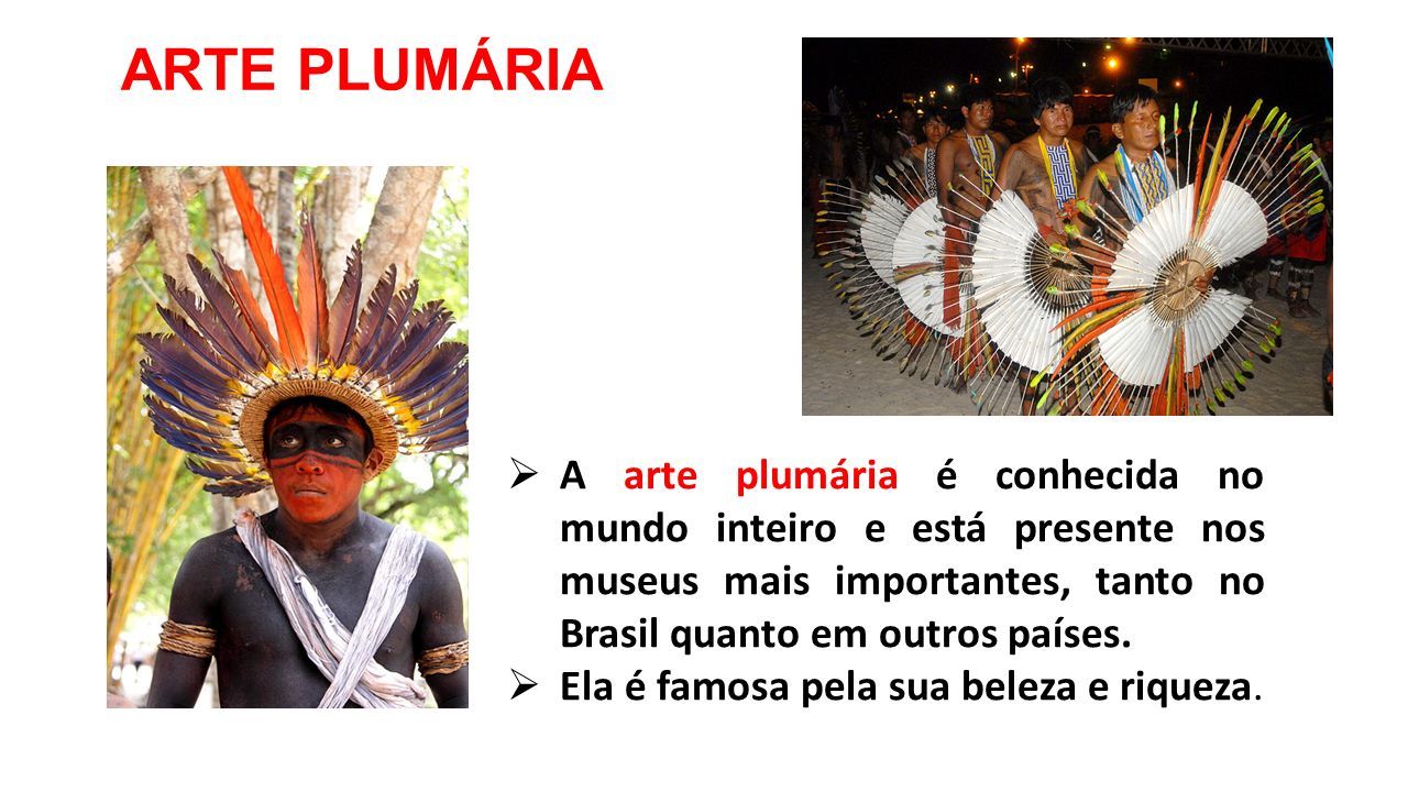 ARTE PLUMÁRIA  A arte plumária é conhecida no mundo inteiro e está presente nos museus mais importantes, tanto no Brasil quanto em outros países.
