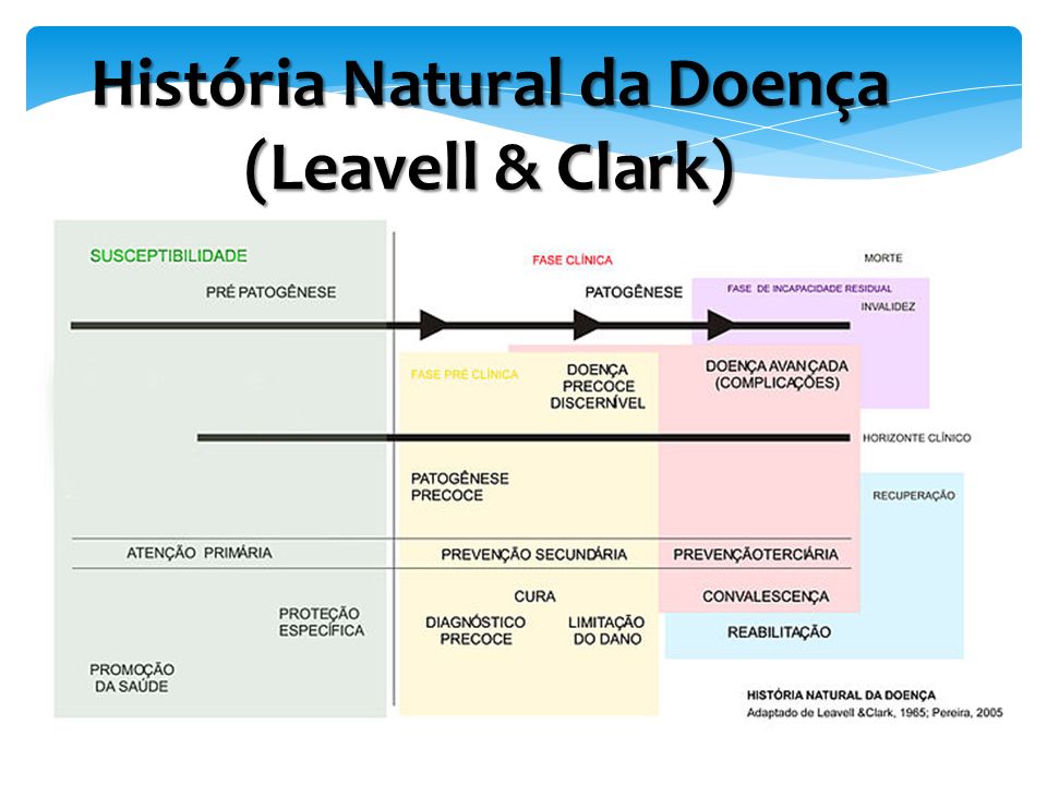 Profa Ms Eryka Maria Rodrigues Pereira Profa Ms Regynara Rodrigues