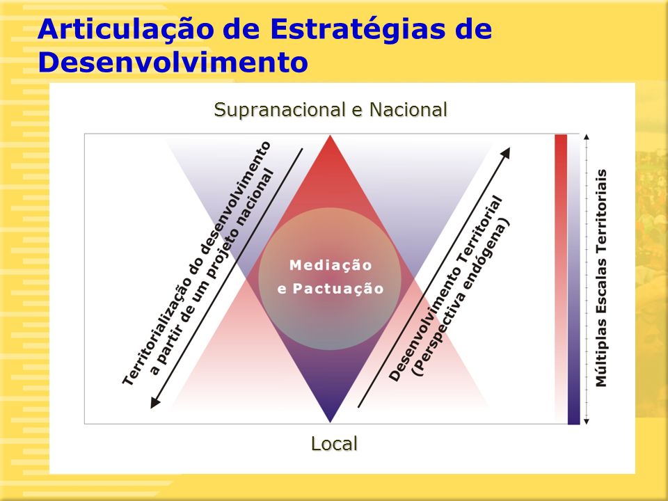 8 Articulação de Estratégias de Desenvolvimento Supranacional e Nacional Local