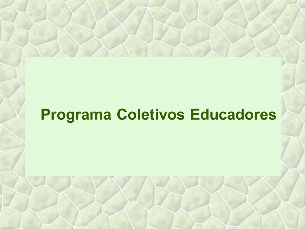 Programa Coletivos Educadores