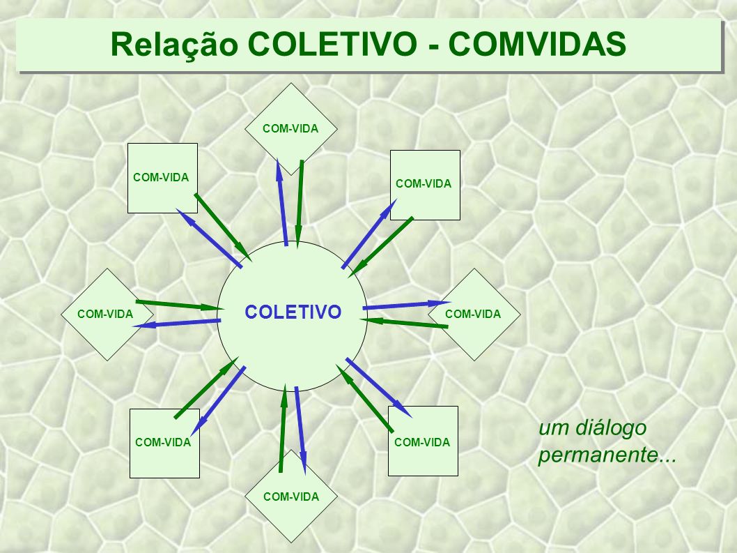 Relação COLETIVO - COMVIDAS COLETIVO COM-VIDA um diálogo permanente...