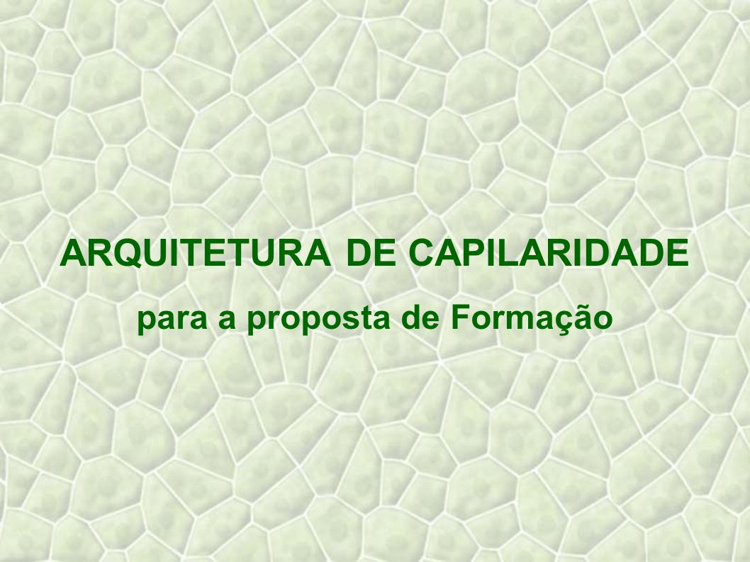 ARQUITETURA DE CAPILARIDADE para a proposta de Formação