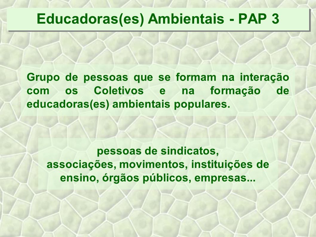 Educadoras(es) Ambientais - PAP 3 Grupo de pessoas que se formam na interação com os Coletivos e na formação de educadoras(es) ambientais populares.