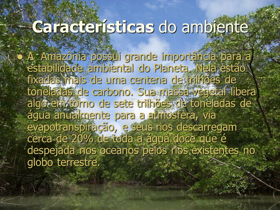 Características do ambiente A Amazônia possui grande importância para a estabilidade ambiental do Planeta.