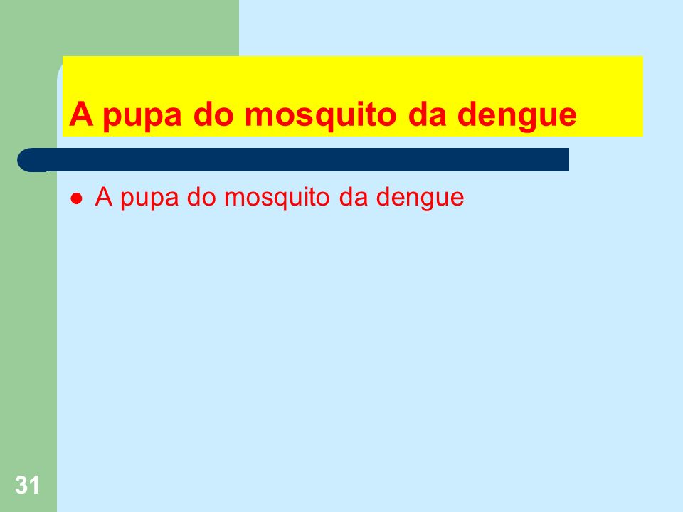 31 A pupa do mosquito da dengue