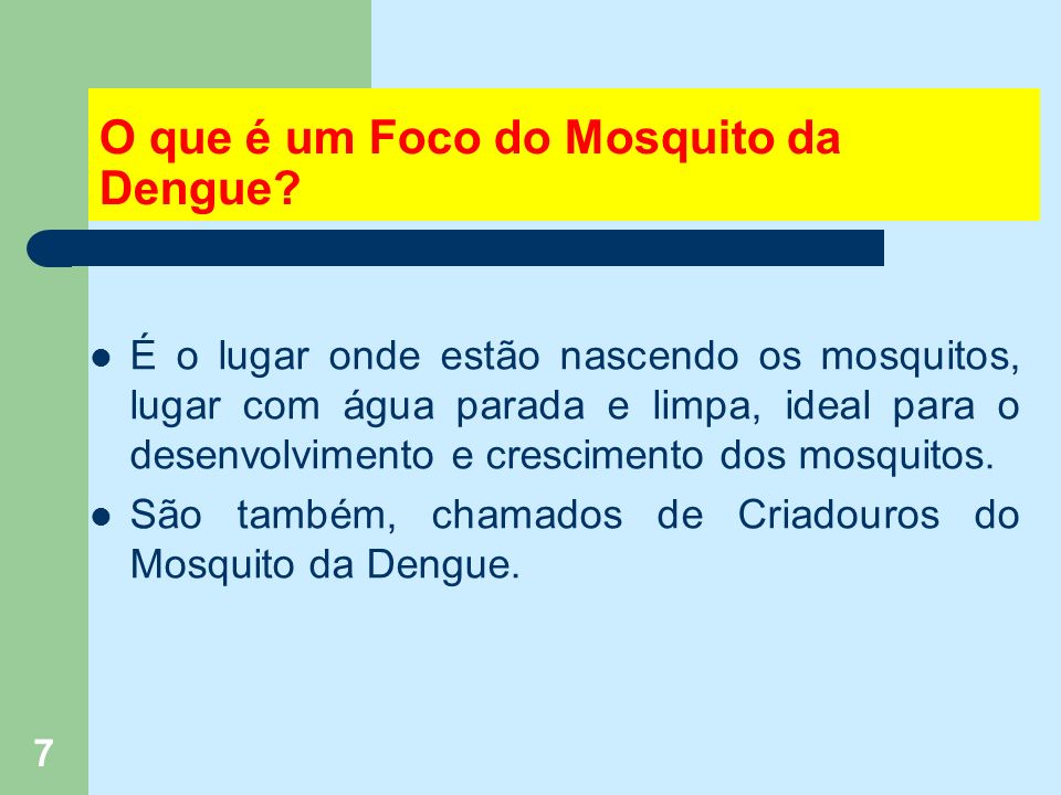 7 O que é um Foco do Mosquito da Dengue.