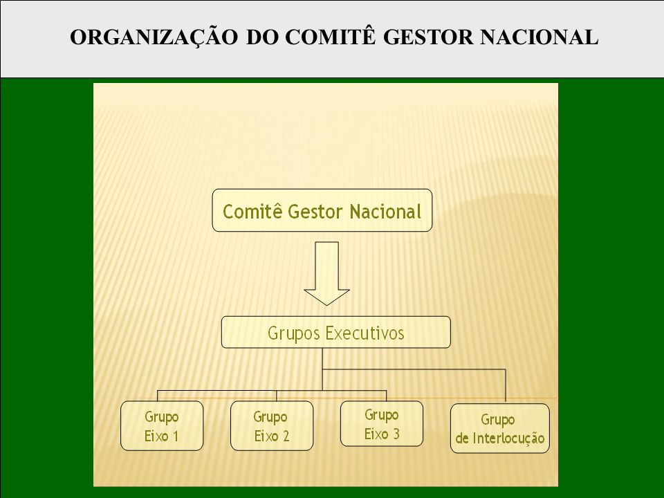 ORGANIZAÇÃO DO COMITÊ GESTOR NACIONAL