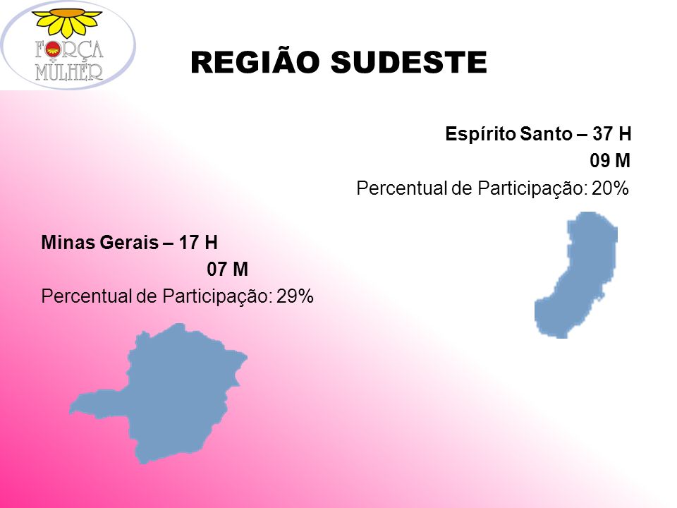 REGIÃO SUDESTE Espírito Santo – 37 H 09 M Percentual de Participação: 20% Minas Gerais – 17 H 07 M Percentual de Participação: 29%