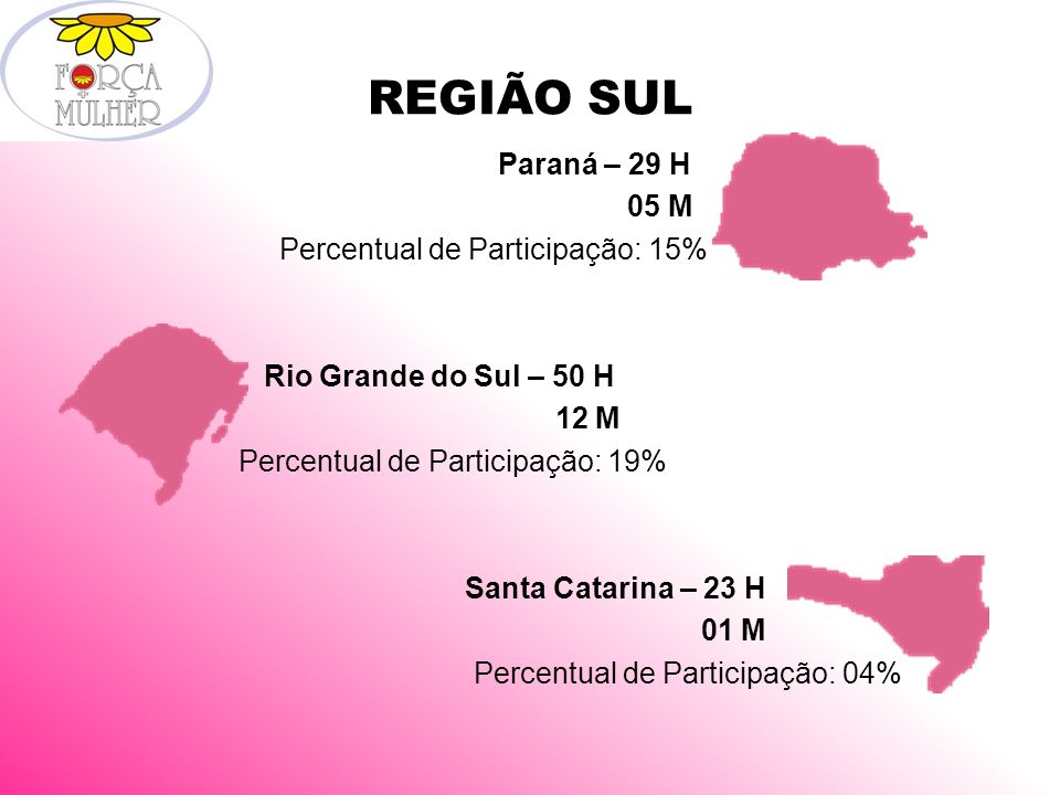 REGIÃO SUL Paraná – 29 H 05 M Percentual de Participação: 15% Rio Grande do Sul – 50 H 12 M Percentual de Participação: 19% Santa Catarina – 23 H 01 M Percentual de Participação: 04%