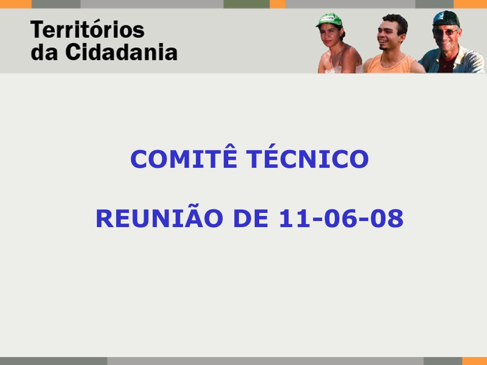 COMITÊ TÉCNICO REUNIÃO DE
