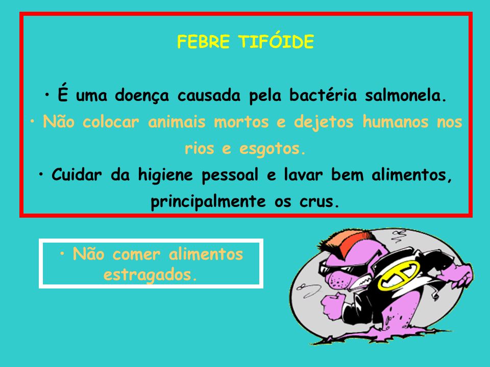 FEBRE TIFÓIDE É uma doença causada pela bactéria salmonela.