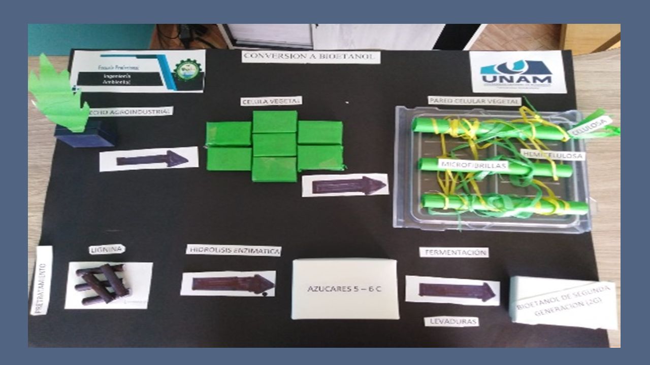 ELBORACION DE MAQUETA – BIOCOMBUSTIBLES DE SEGUNDA GENERACION DOCENTE:  HERBET HERNAN SOTO GONZALES ESTUDIANTE: DONALD EFRAIN MERMA CHACCA CURSO  BIOTECNOLOGIA. - ppt carregar