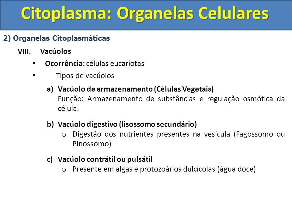 Biologia Tema Organelas Celulares Citoplasma Organelas Celulares